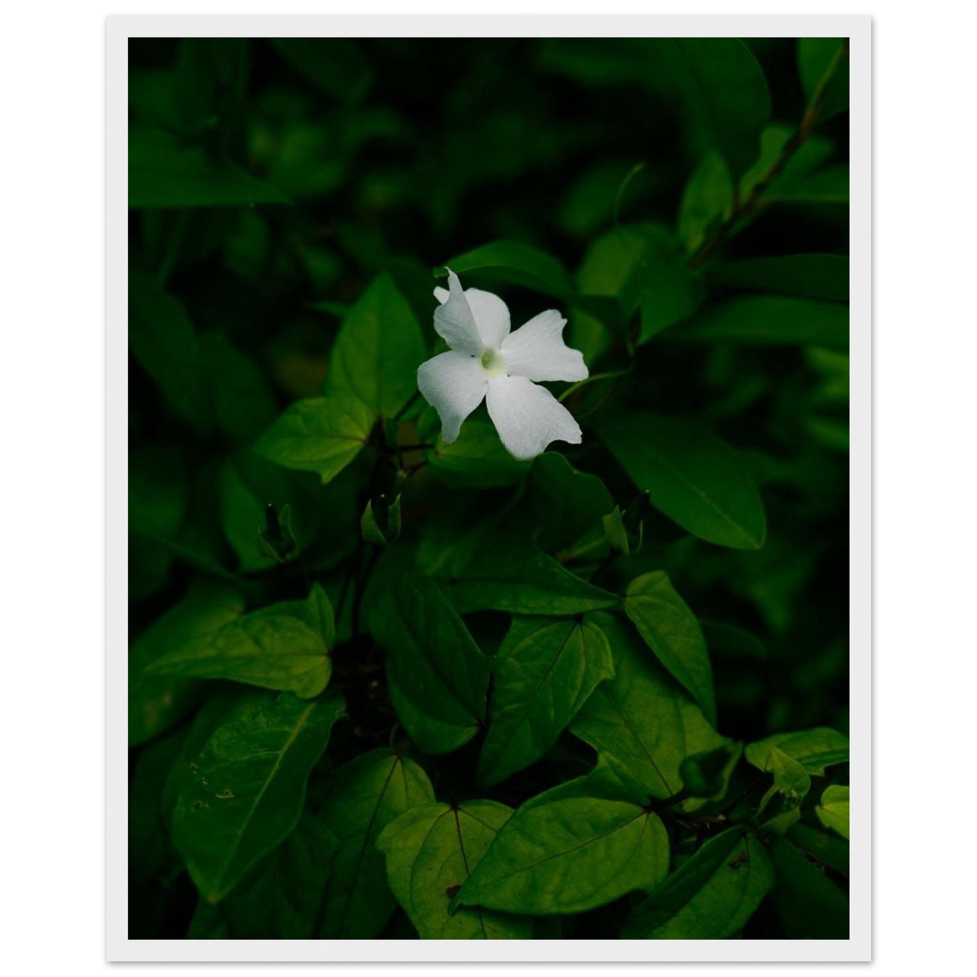 1cbeb5e3-2e85-4720-bf7f-c83943b3da80