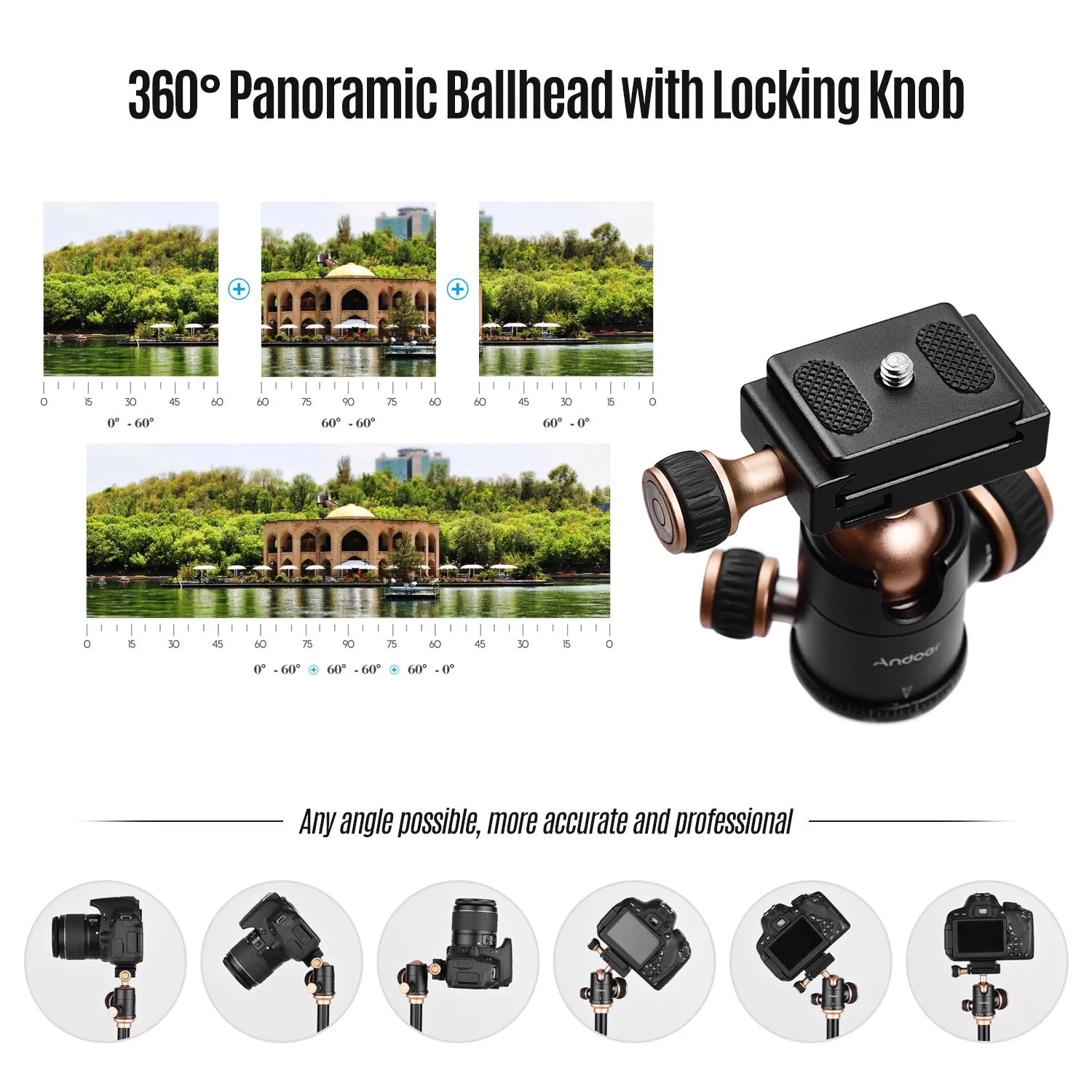 Pro Tripod with Panoramic Ball Head
