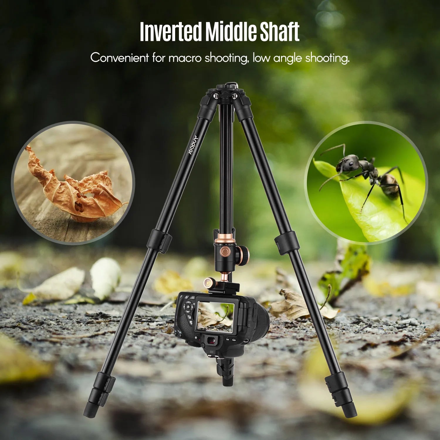 Pro Tripod with Panoramic Ball Head