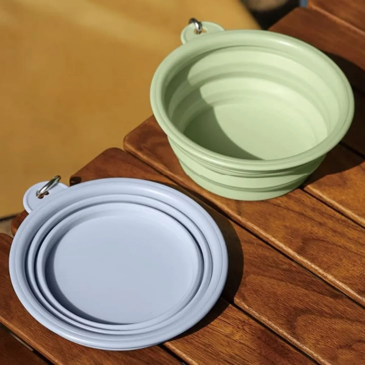Small Collapsible Travel Dog Bowl