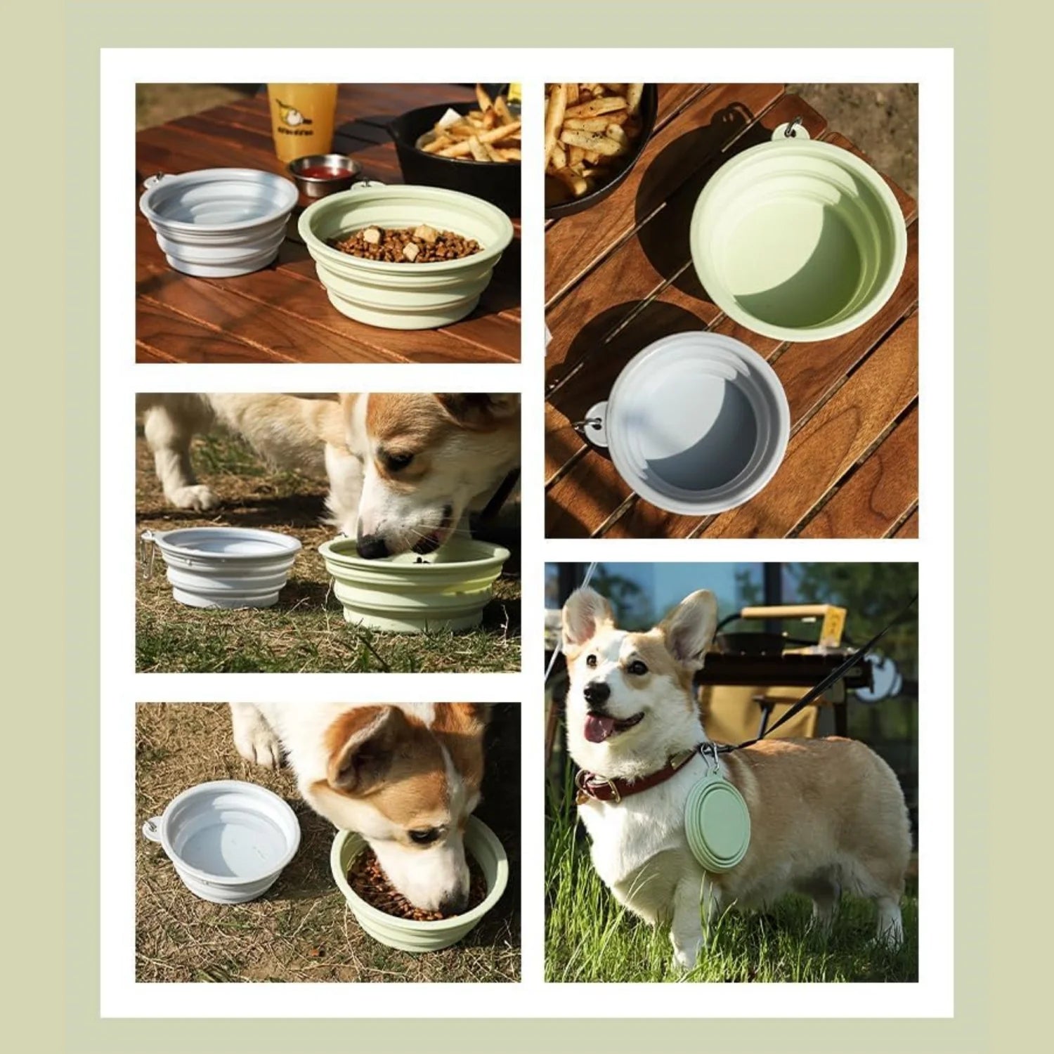 Small Collapsible Travel Dog Bowl