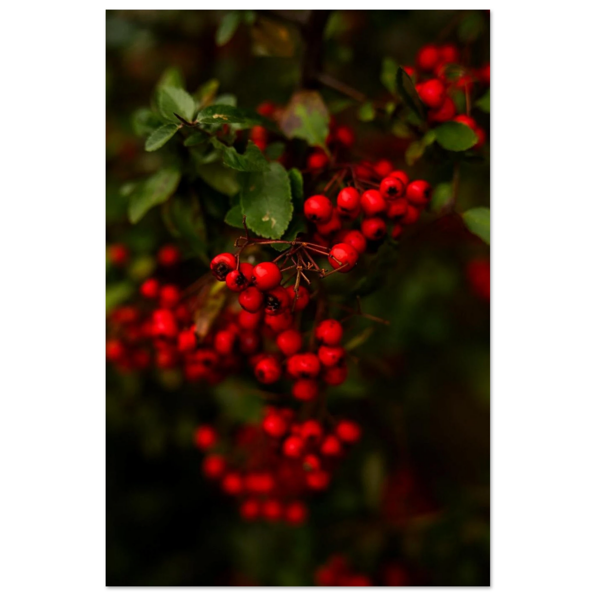 f2c20b32-9856-4123-bb06-6f3a770f7fec