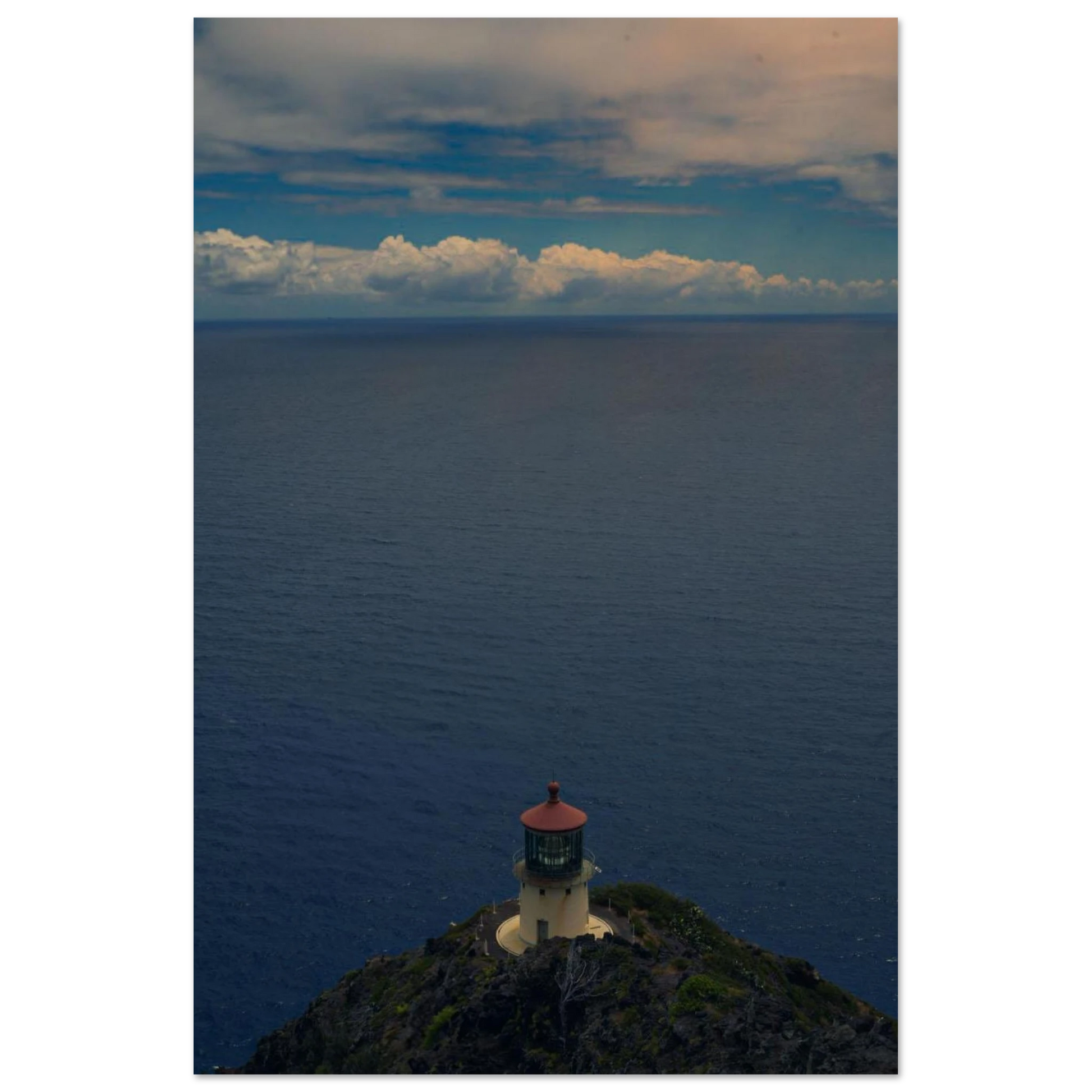 281a0923-7400-437e-99b1-993843663122