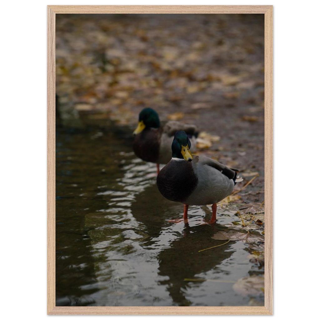 36416c48-40d8-425d-8323-9a40908a74f7