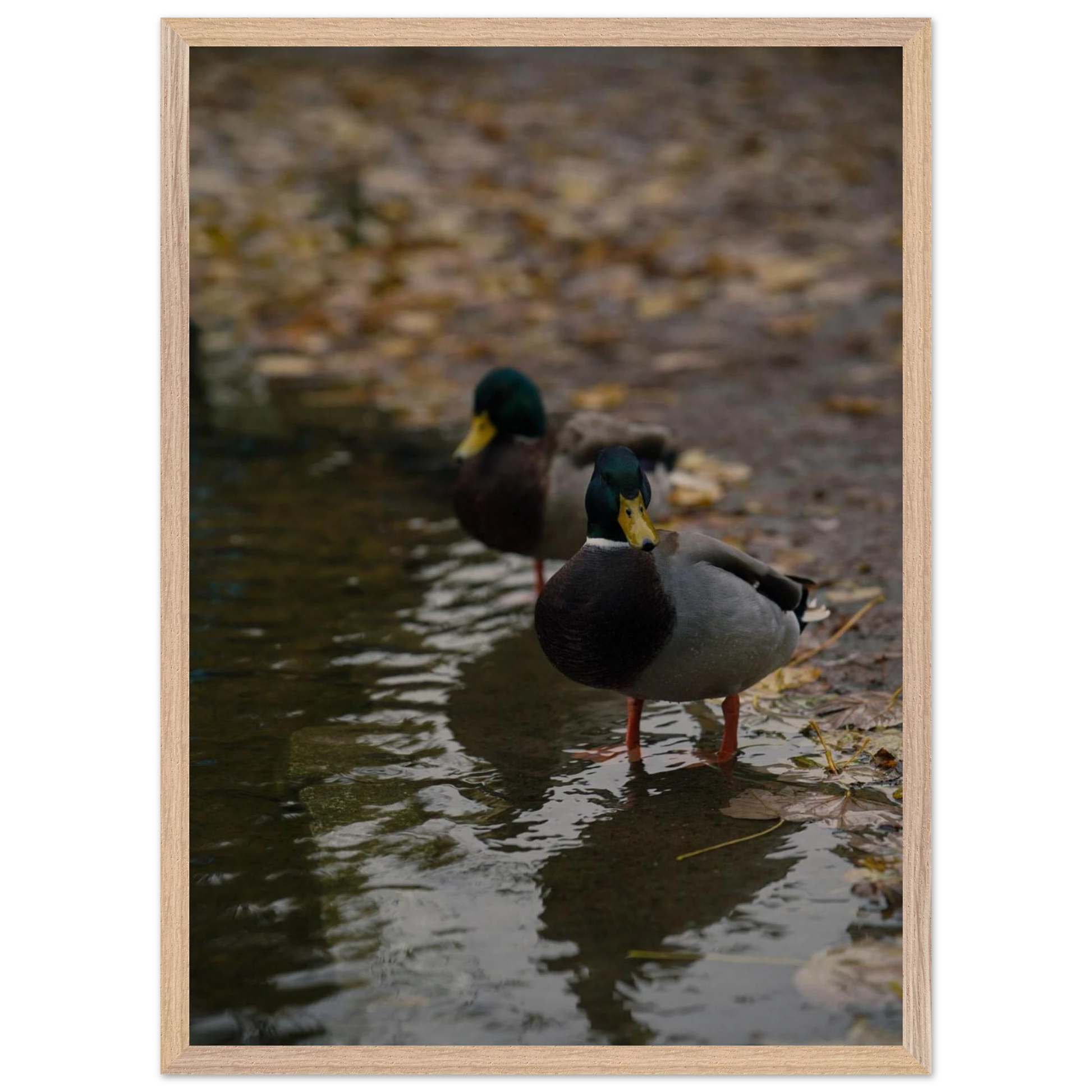 36416c48-40d8-425d-8323-9a40908a74f7