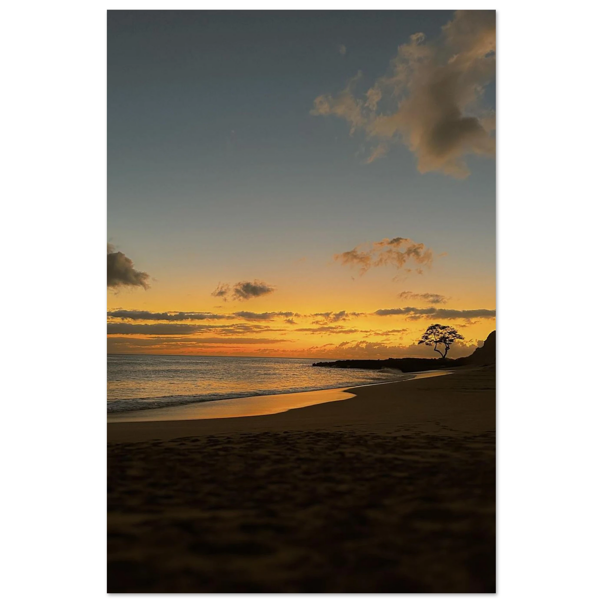 3f591c0f-ed96-49a5-b71e-01692b8015e5