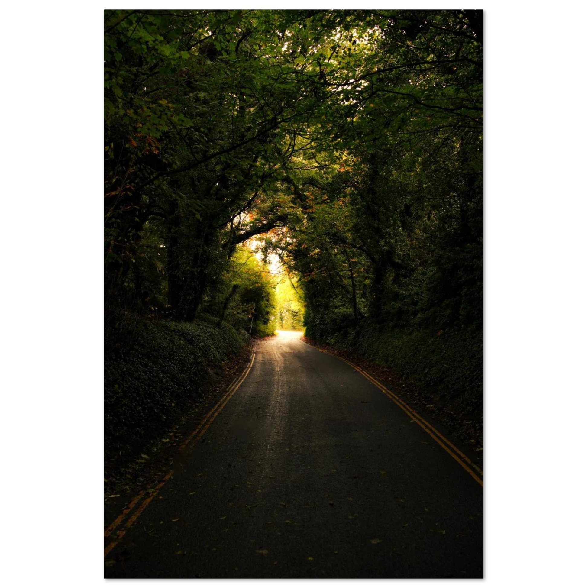 46d1a701-872d-4d73-9836-fac82cd5d970