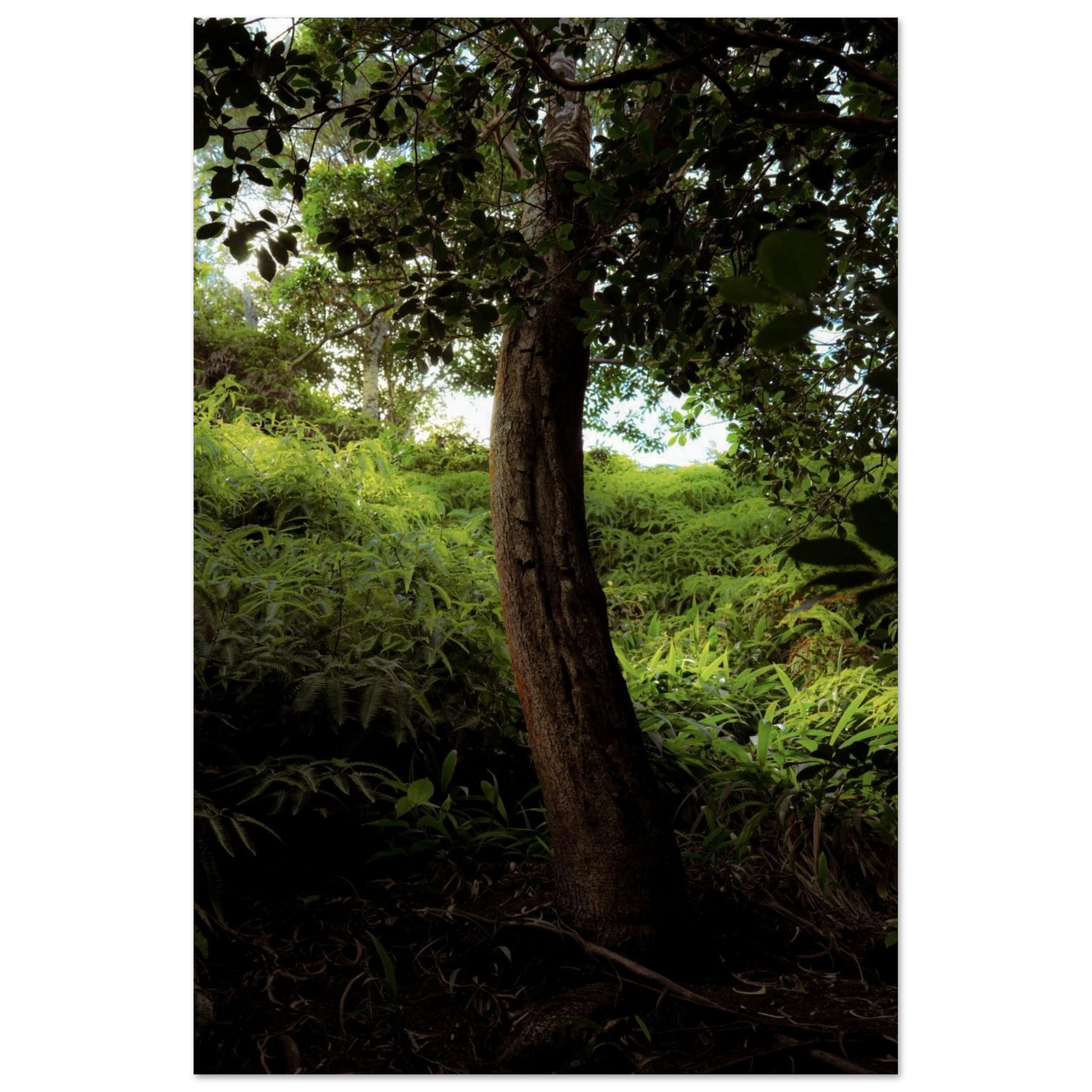 49c212fd-f8a8-4a02-bda0-db9403426e48