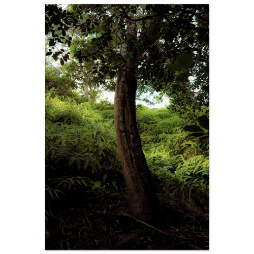 49c212fd-f8a8-4a02-bda0-db9403426e48