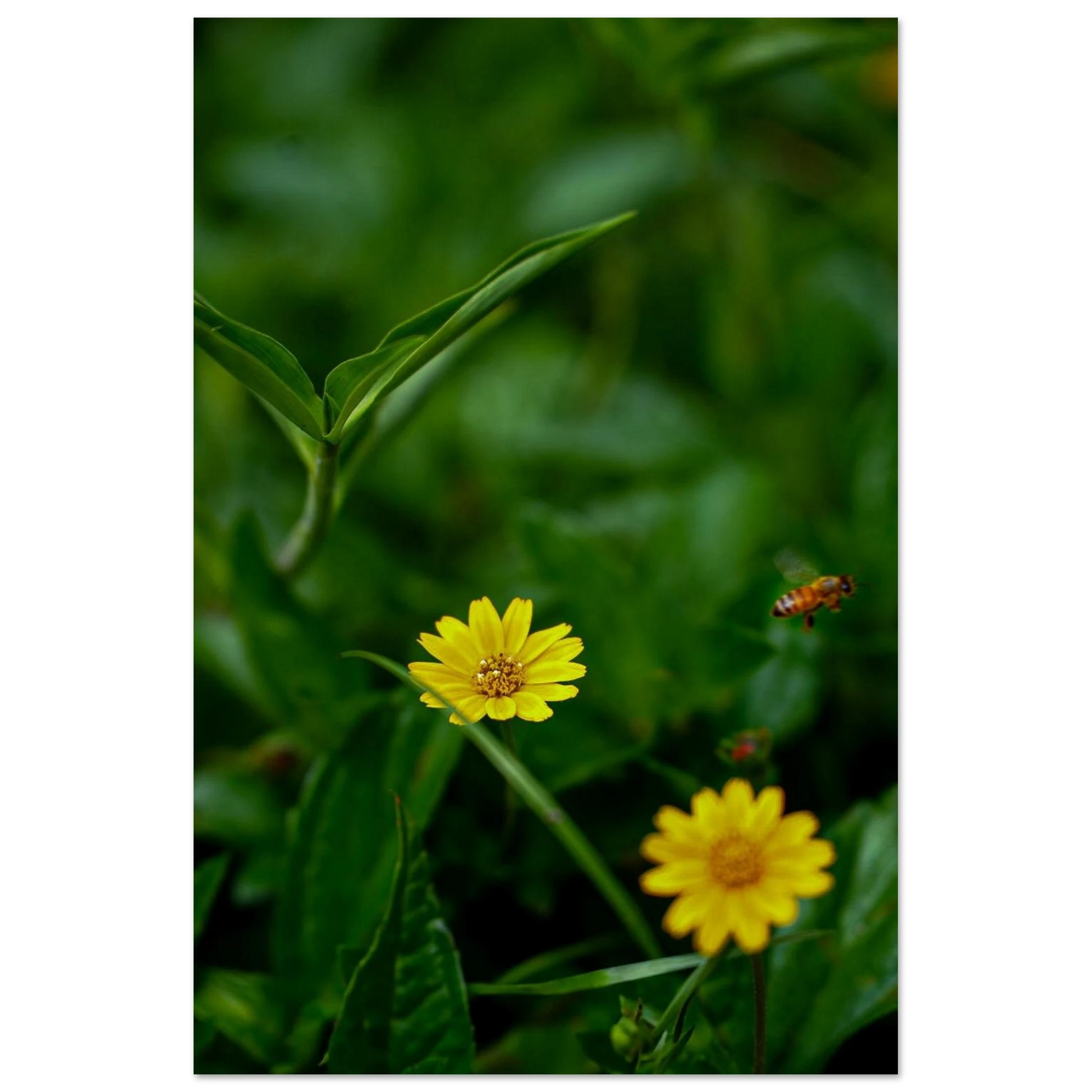 685f71f6-3eaf-4e05-9a02-9327348a072f