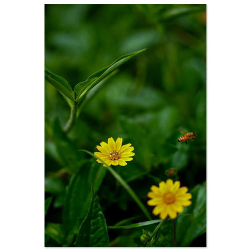 685f71f6-3eaf-4e05-9a02-9327348a072f