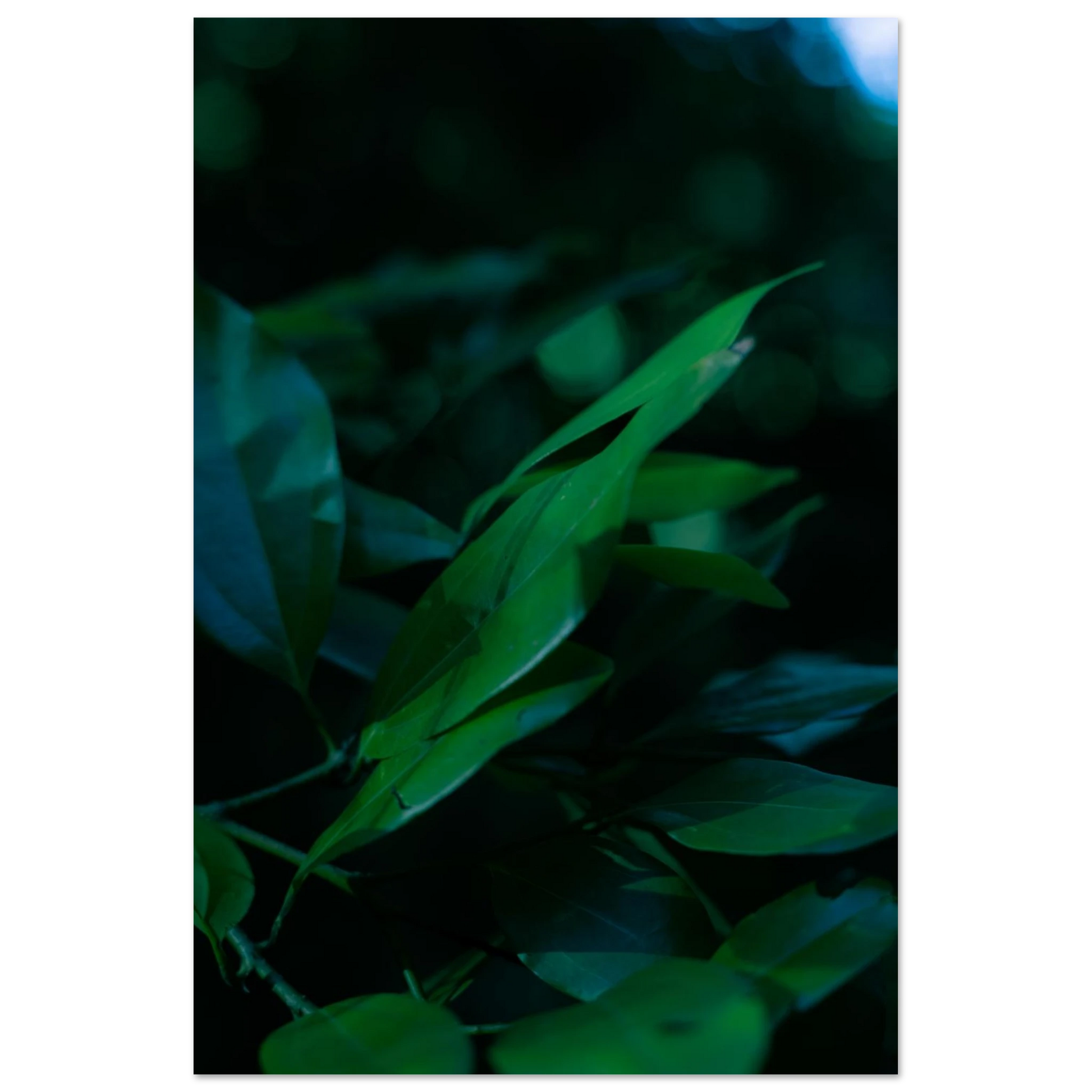 6c3bf92e-dd6a-4cdc-8c12-842247eb7676