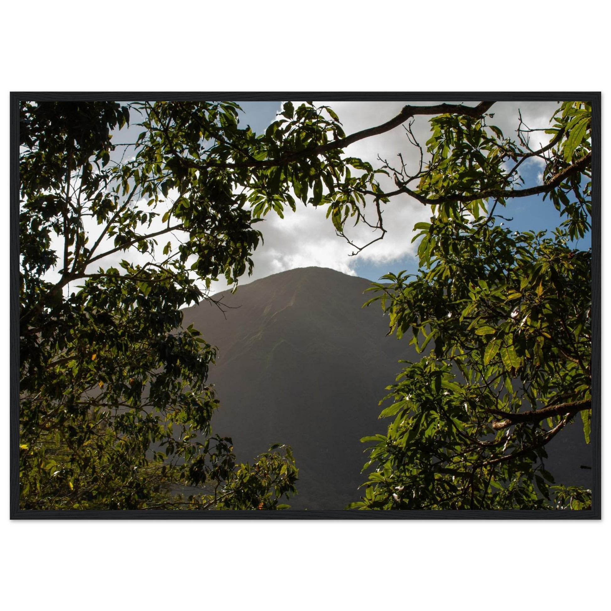 7b1aea3b-1994-4cce-b6ff-9deaa1cd08c2