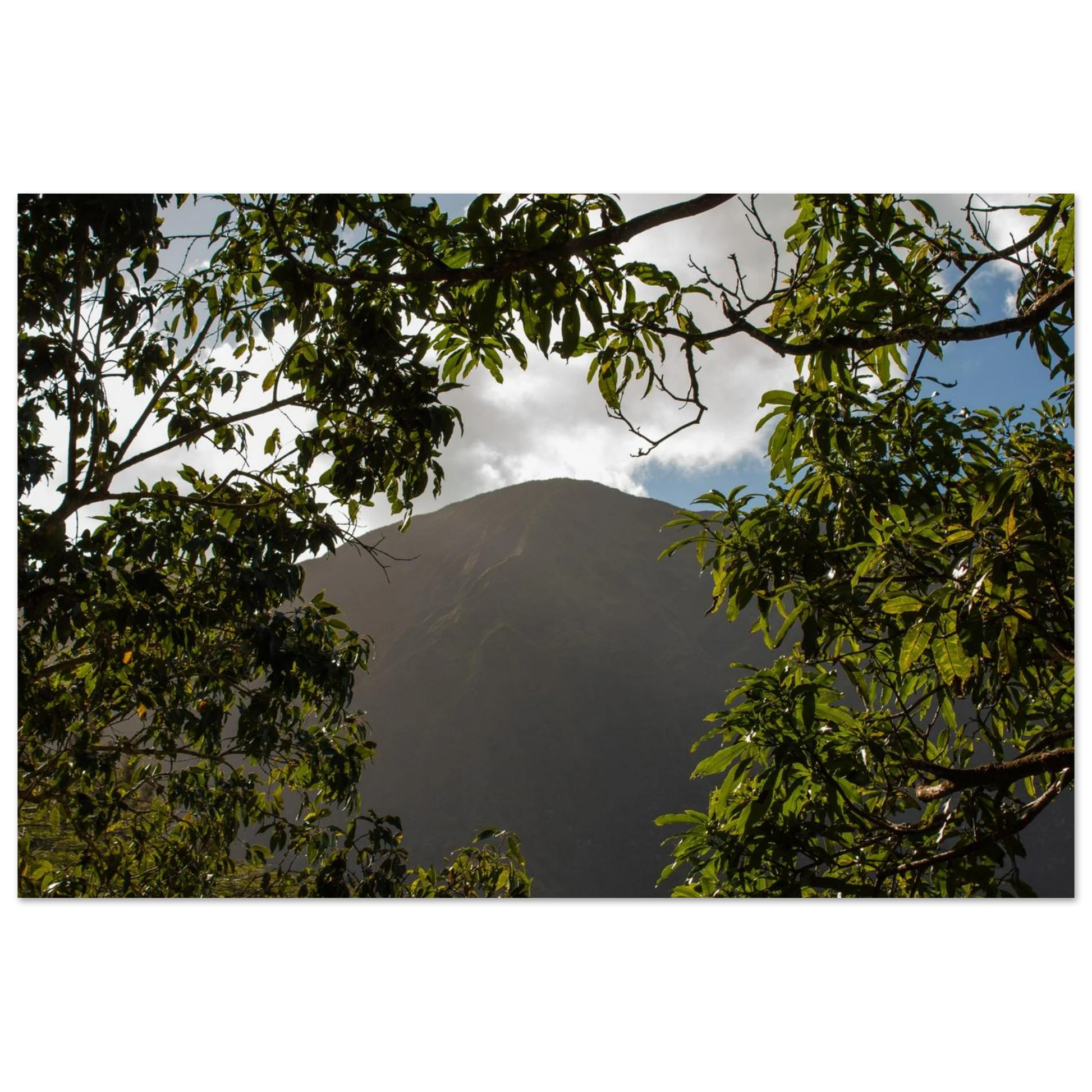 80cc1c63-c0a8-4a9c-acc4-96ca7587f003