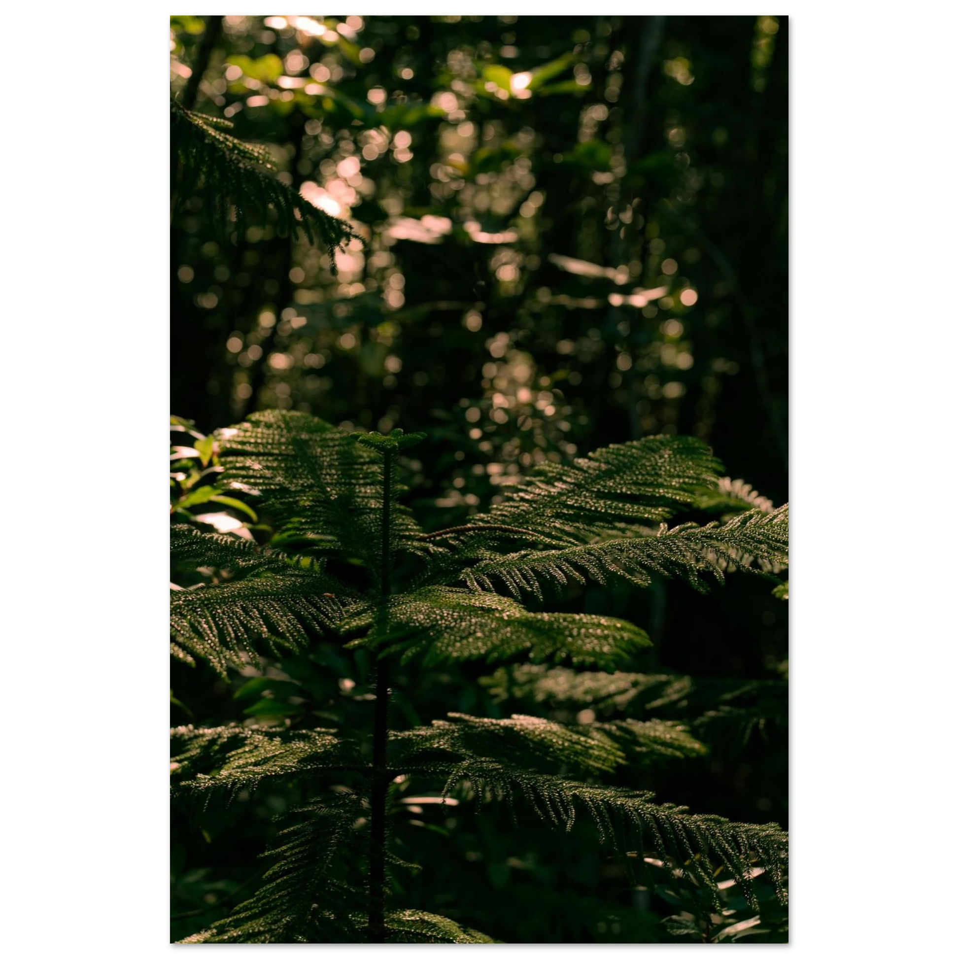 8c218c05-352f-4b43-aedc-e1d2dc59a6dd