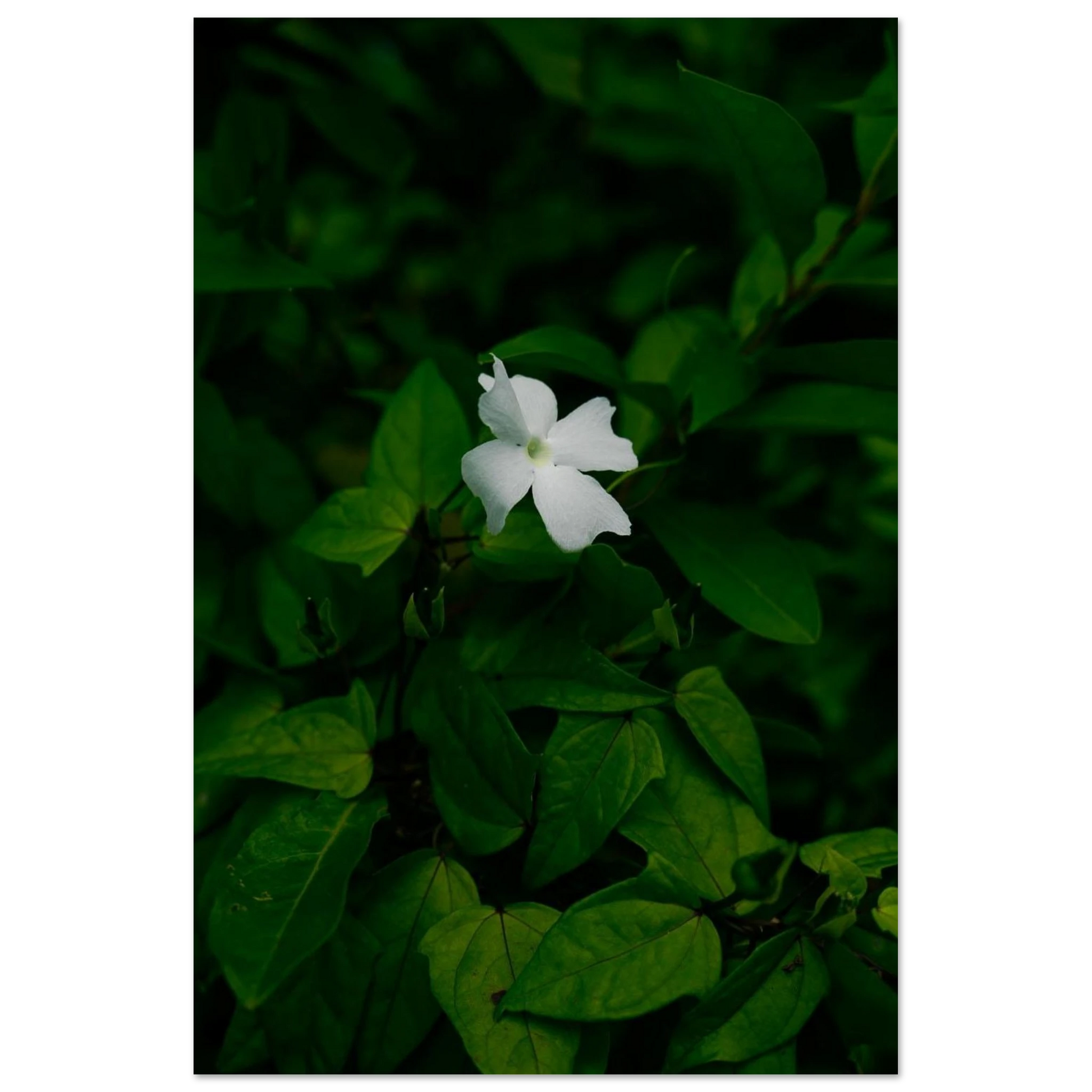 a68c9194-632f-4484-bc56-d9a2e8114b6d