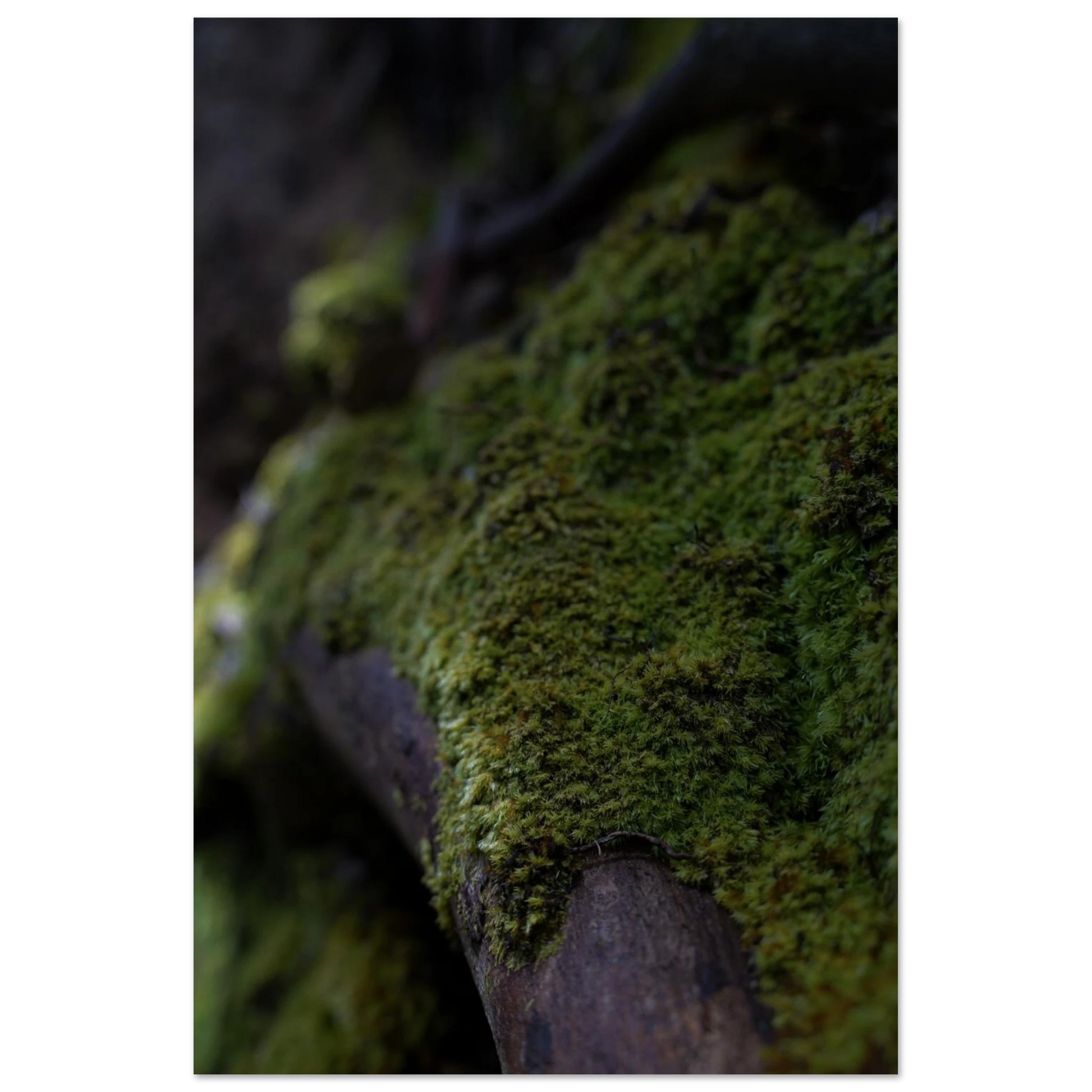 d6adcd29-68e6-45a0-8fee-5c65461727dd