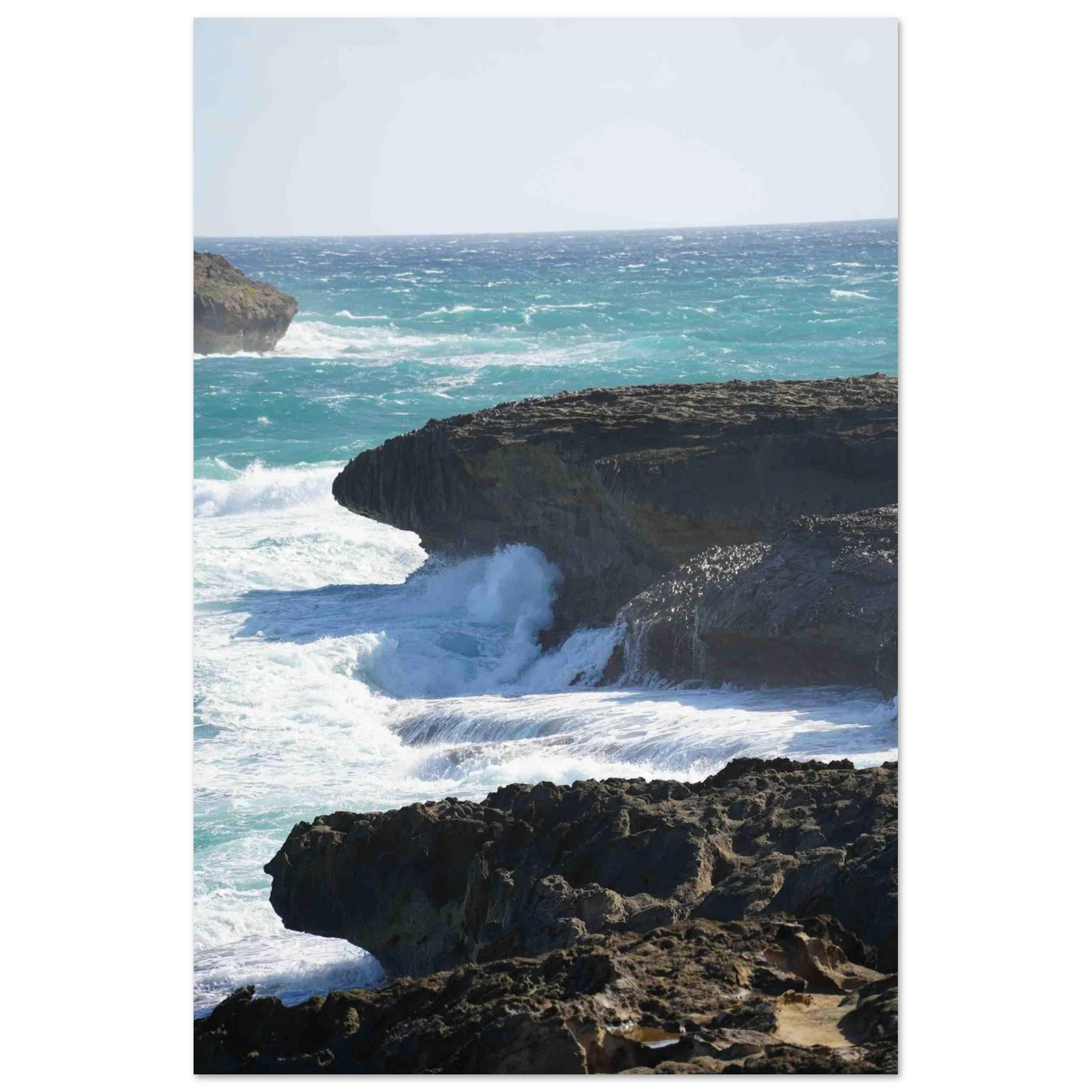 d818cac9-5be4-4781-a137-f87873d22e0d