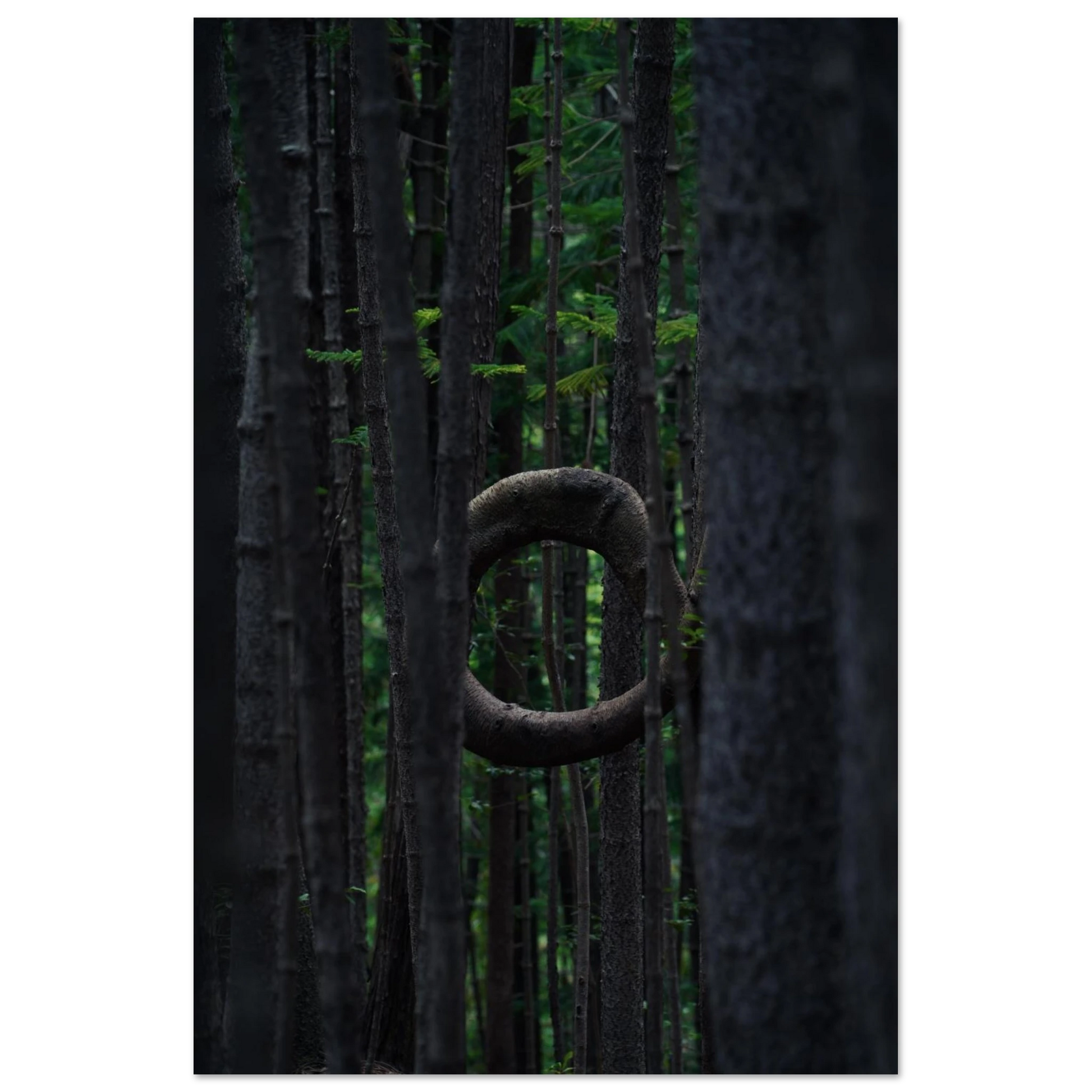 ee94a6a2-2e1f-4eb0-8a63-8a6da2f14026